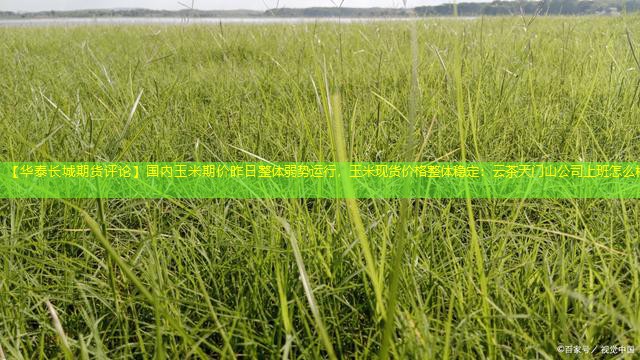 【华泰长城期货评论】国内玉米期价昨日整体弱势运行，玉米现货价格整体稳定