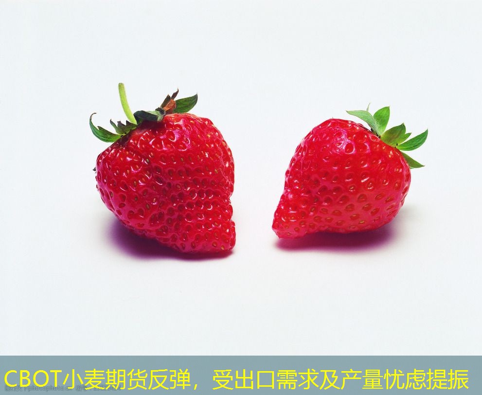 CBOT小麦期货反弹，受出口需求及产量忧虑提振