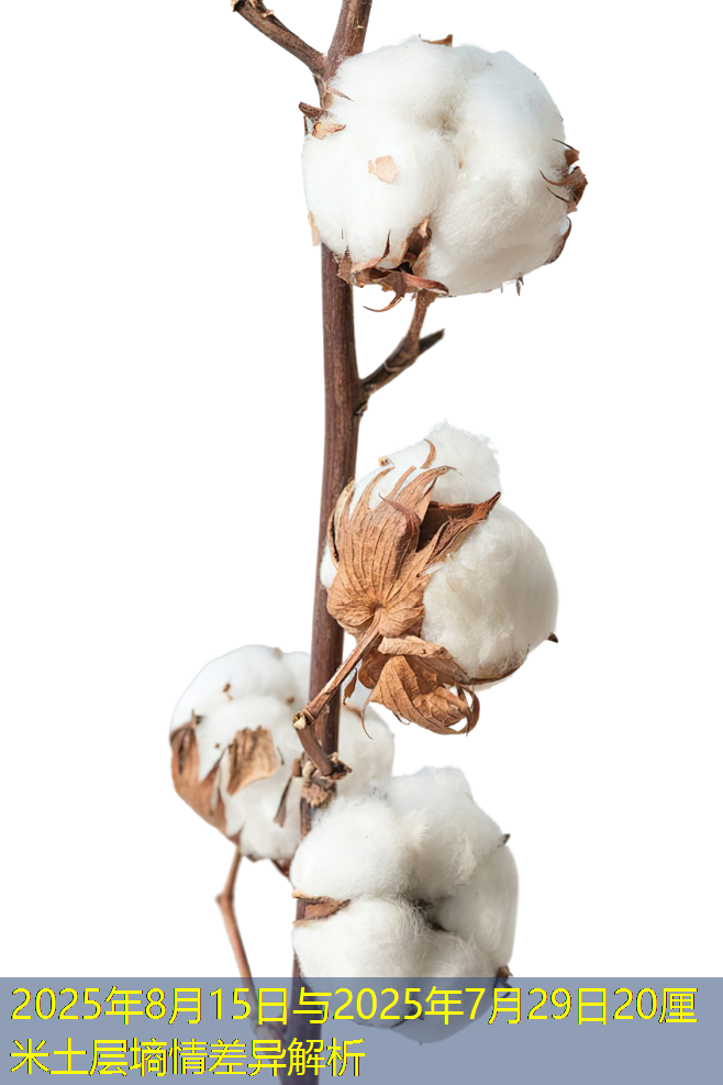 2025年8月15日与2025年7月29日20厘米土层墒情差异解析