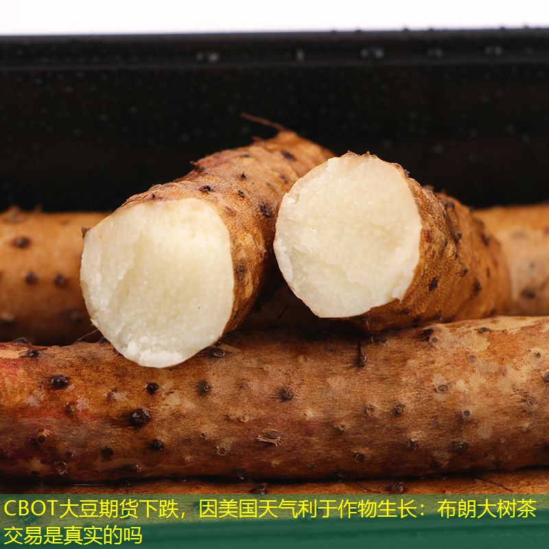 CBOT大豆期货下跌，因美国天气利于作物生长