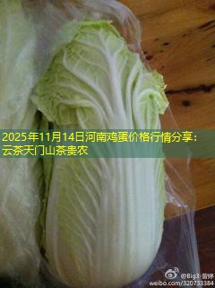 2025年11月14日河南鸡蛋价格行情分享