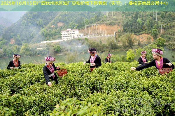 2025年10月15日广西钦州地区油厂豆粕价格下跌黄彪（实习）