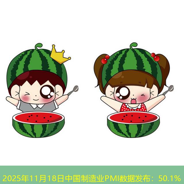 2025年11月18日中国制造业PMI数据发布：50.1%