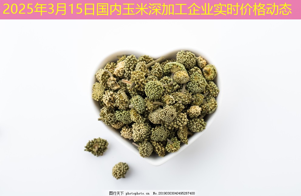 2025年3月15日国内玉米深加工企业实时价格动态