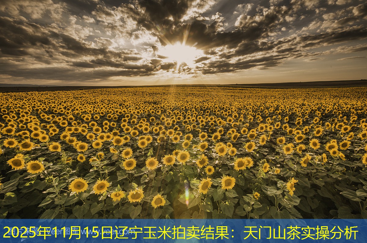 2025年11月15日辽宁玉米拍卖结果