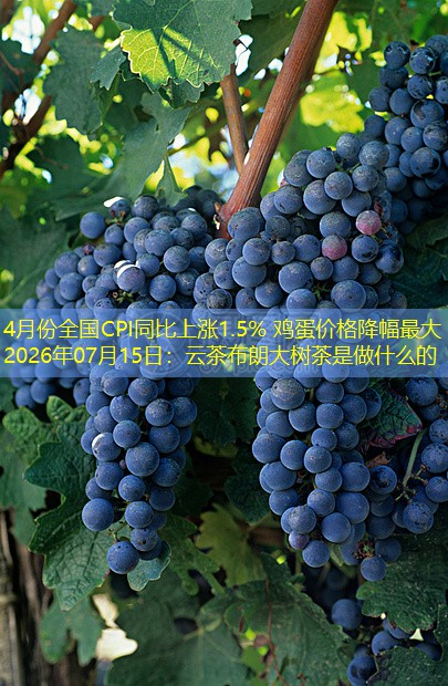 4月份全国CPI同比上涨1.5% 鸡蛋价格降幅最大 2026年07月15日