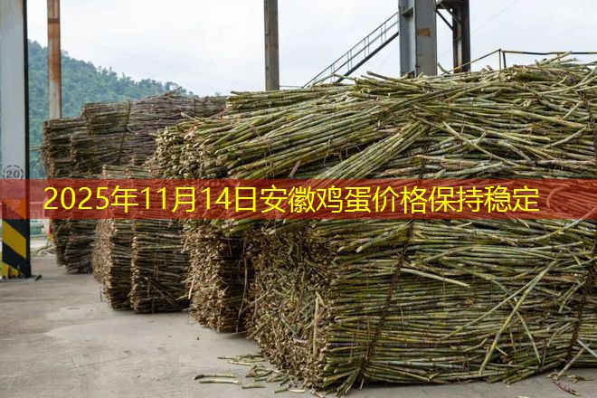 2025年11月14日安徽鸡蛋价格保持稳定