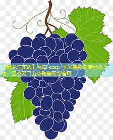 【黑龙江东线】林口 corn 玉米播种进度已达 5 成