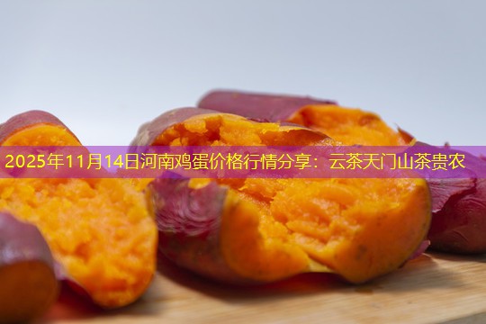 2025年11月14日河南鸡蛋价格行情分享
