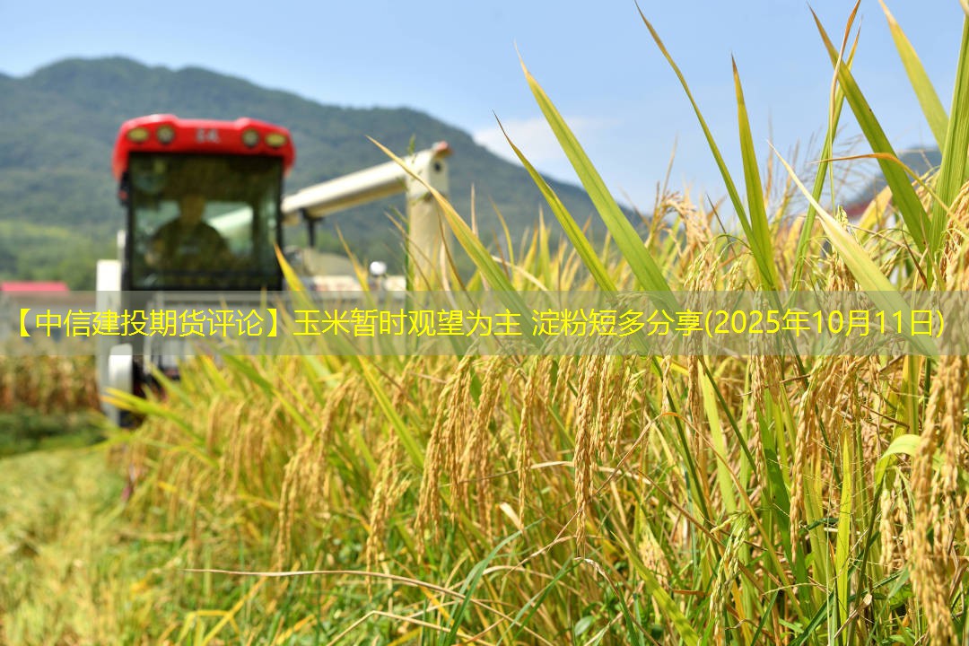 【中信建投期货评论】玉米暂时观望为主 淀粉短多分享(2025年10月11日)