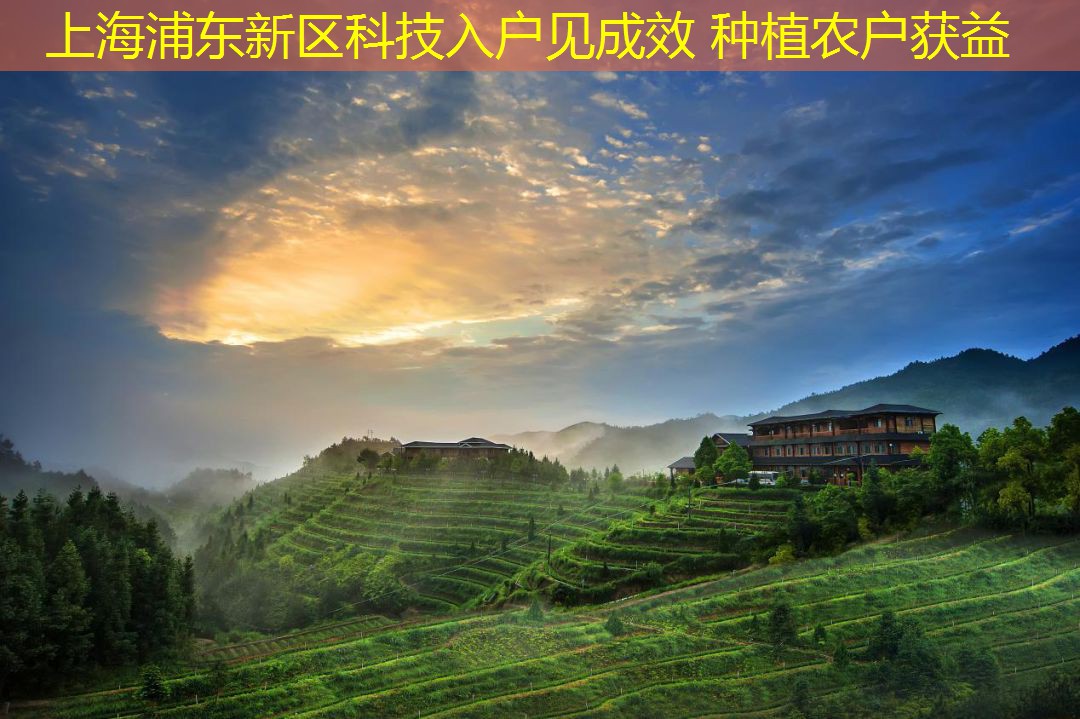 上海浦东新区科技入户见成效 种植农户获益