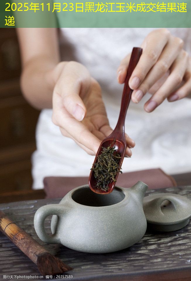 2025年11月23日黑龙江玉米成交结果速递