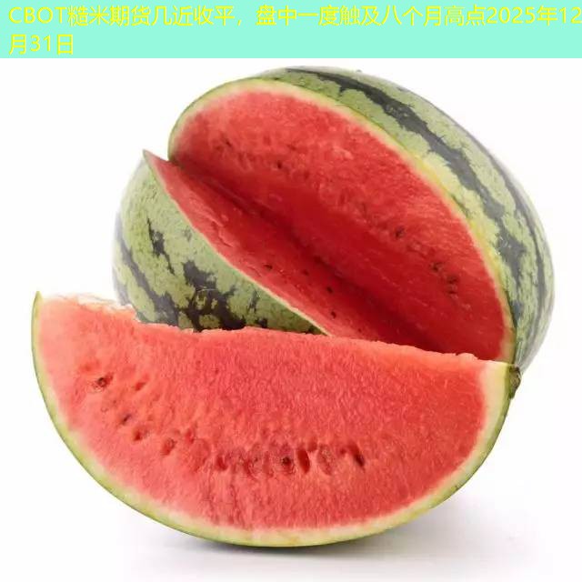 CBOT糙米期货几近收平，盘中一度触及八个月高点2025年12月31日