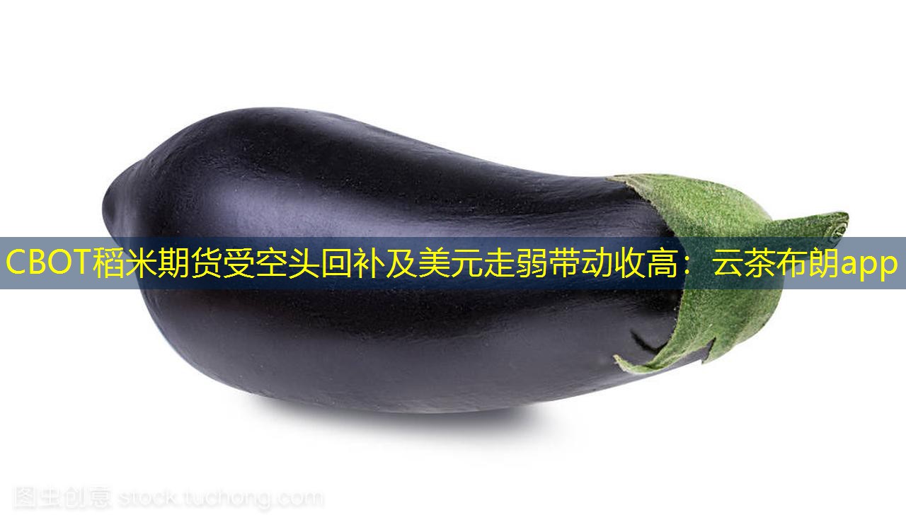 CBOT稻米期货受空头回补及美元走弱带动收高