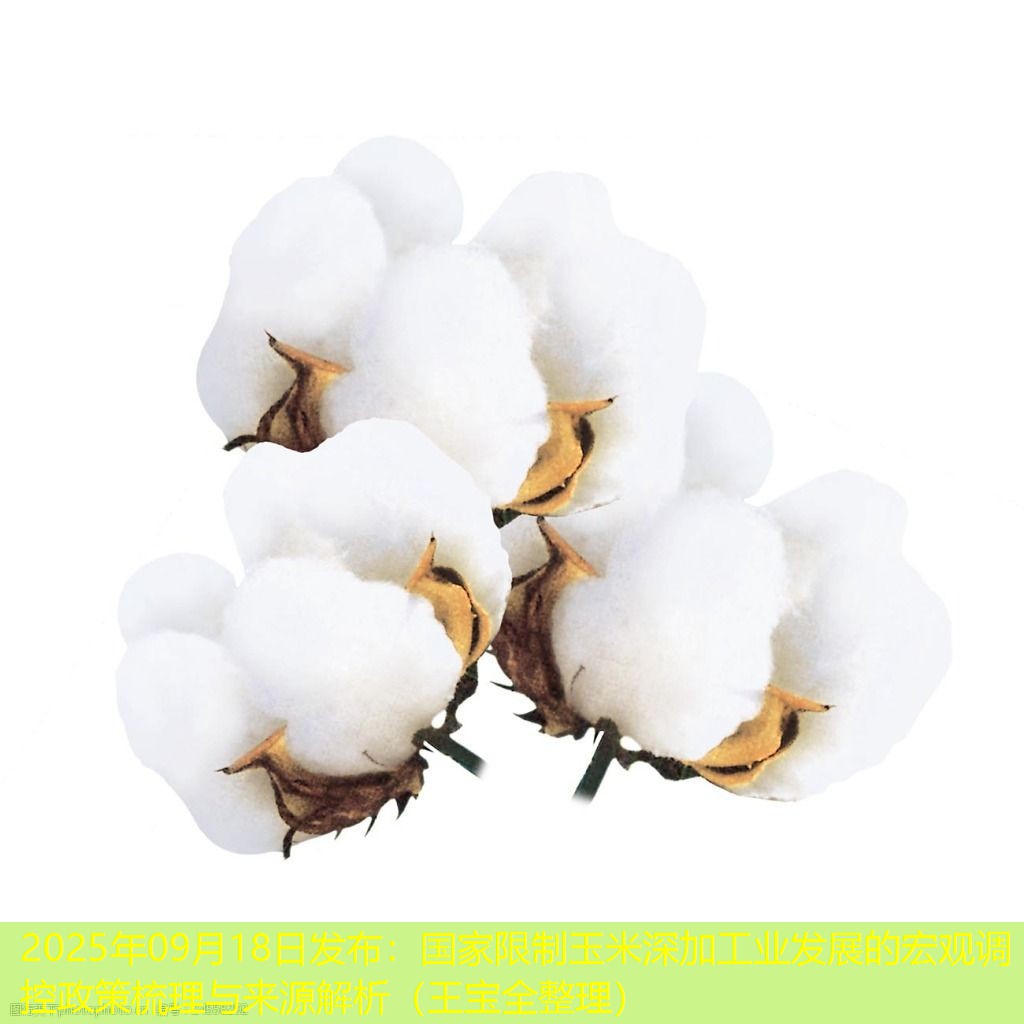 2025年09月18日发布：国家限制玉米深加工业发展的宏观调控政策梳理与来源解析（王宝全整理）