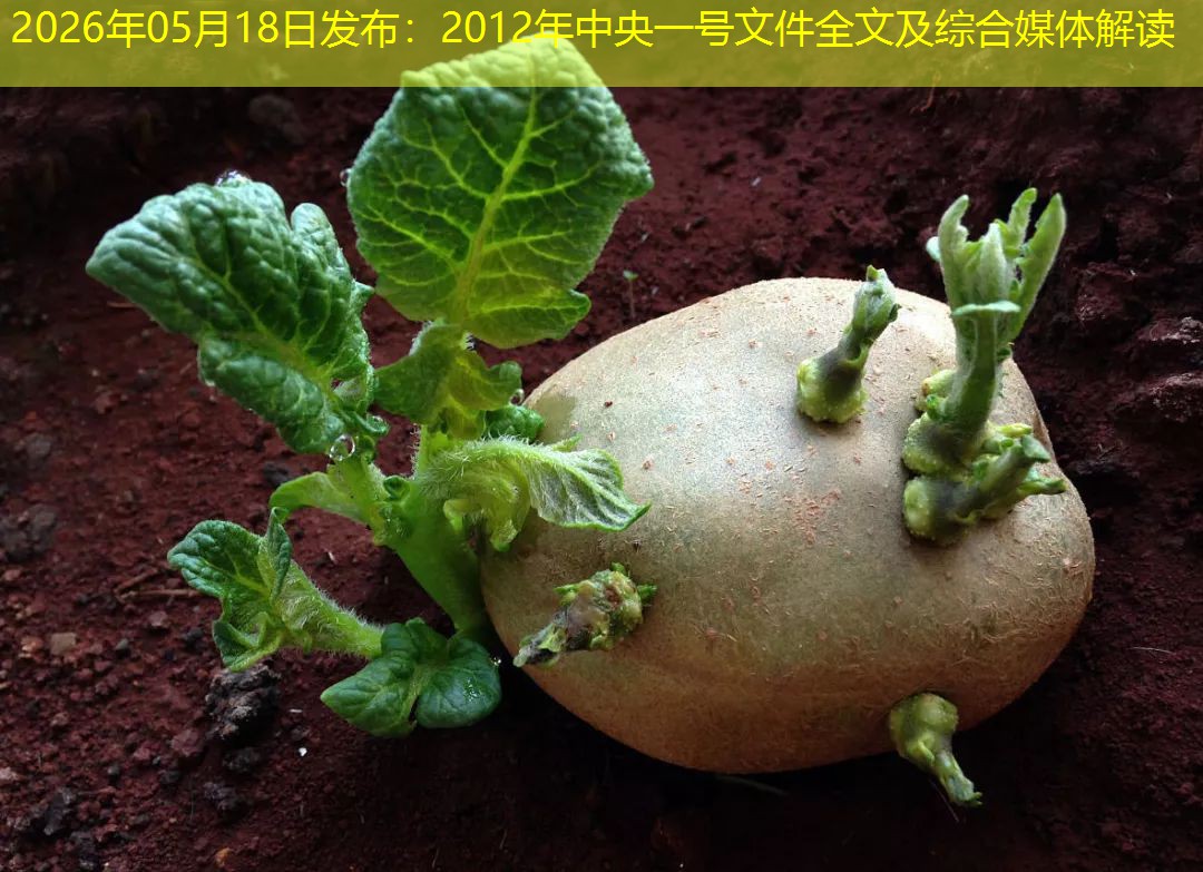 2026年05月18日发布：2012年中央一号文件全文及综合媒体解读