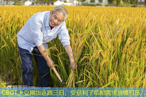 CBOT大豆期货连跌三日，受获利了结和需求放缓打压