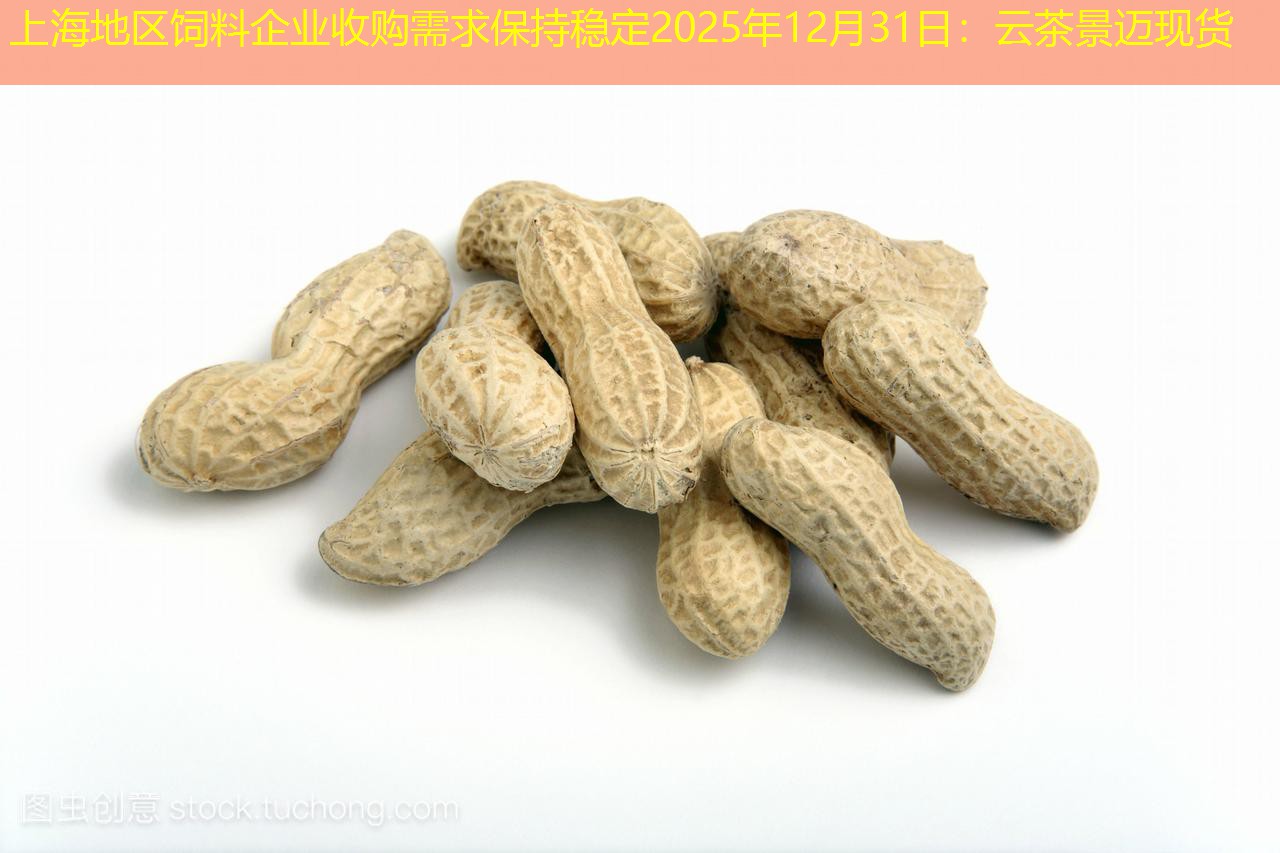 上海地区饲料企业收购需求保持稳定2025年12月31日