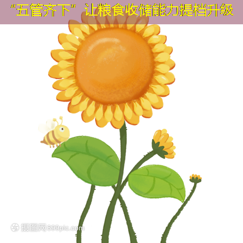 “五管齐下”让粮食收储能力提档升级