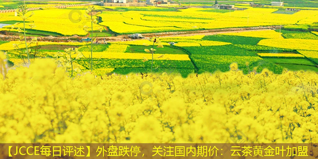 【JCCE每日评述】外盘跌停，关注国内期价