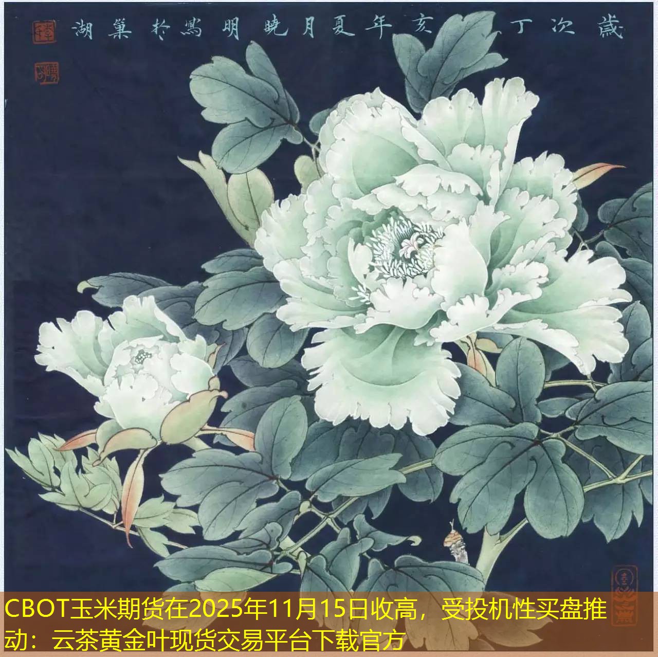 CBOT玉米期货在2025年11月15日收高，受投机性买盘推动