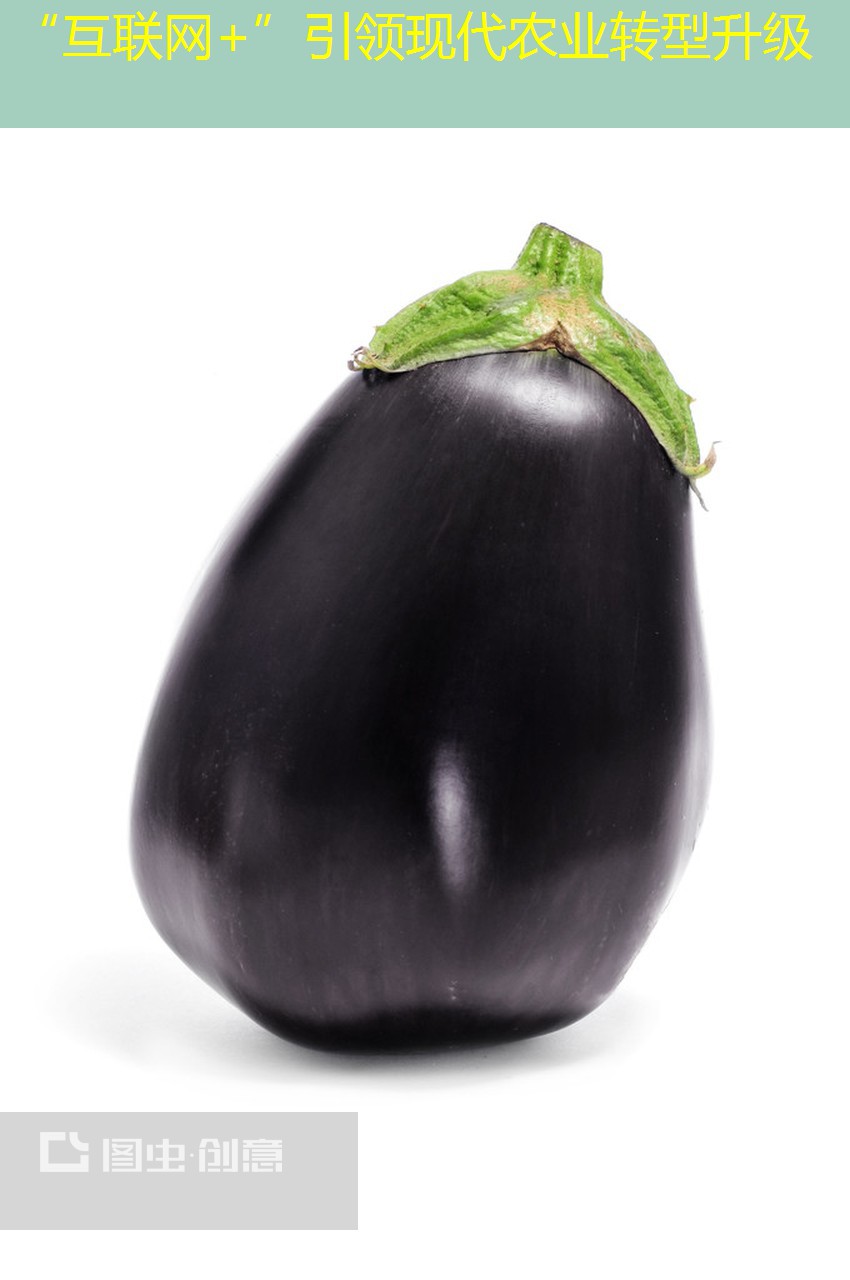 “互联网+”引领现代农业转型升级