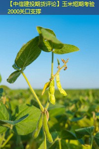 【中信建投期货评论】玉米短期考验2000关口支撑