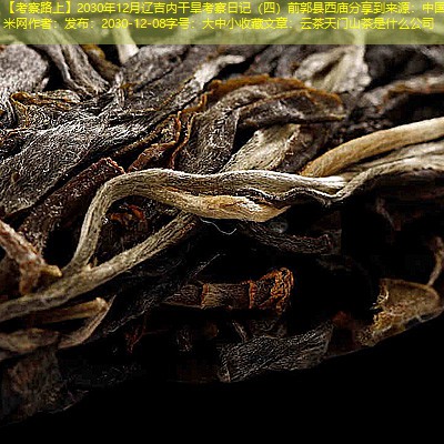 【考察路上】2030年12月辽吉内干旱考察日记（四）前郭县西庙分享到来源：中国玉米网作者：发布：2030-12-08字号：大中小收藏文章