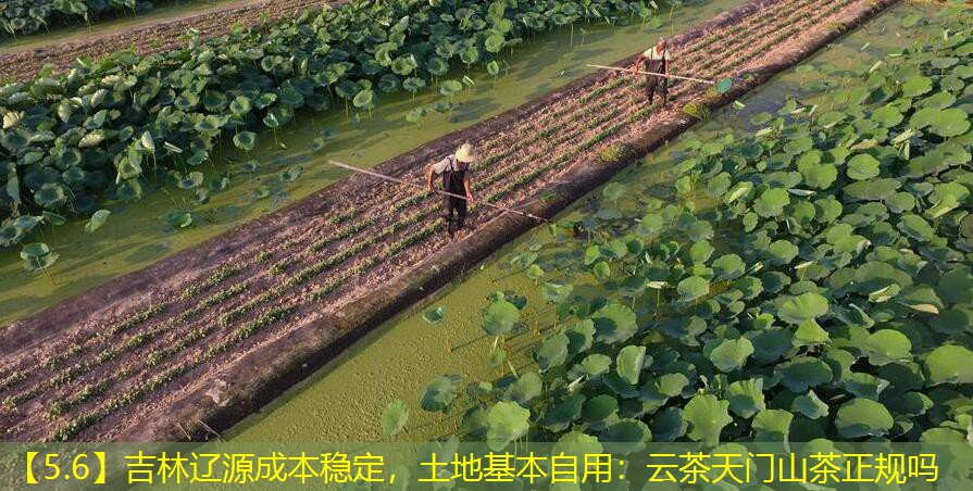 【5.6】吉林辽源成本稳定，土地基本自用