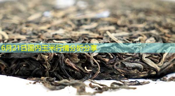 6月21日国内玉米行情分析分享