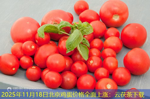 2025年11月18日北京鸡蛋价格全面上涨