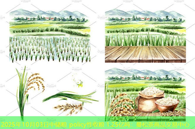 2025年10月03日中储粮 policy性收粮 1.25亿吨