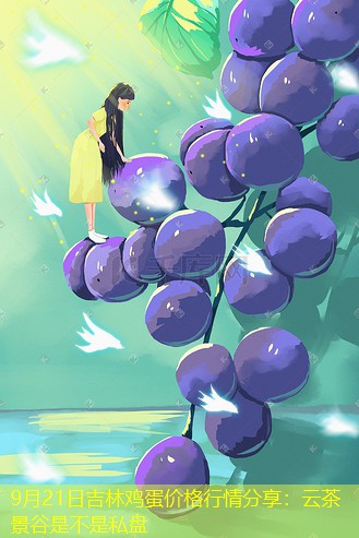 9月21日吉林鸡蛋价格行情分享