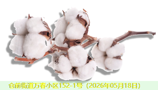 仓前街道万春小区152-1号（2026年05月18日）