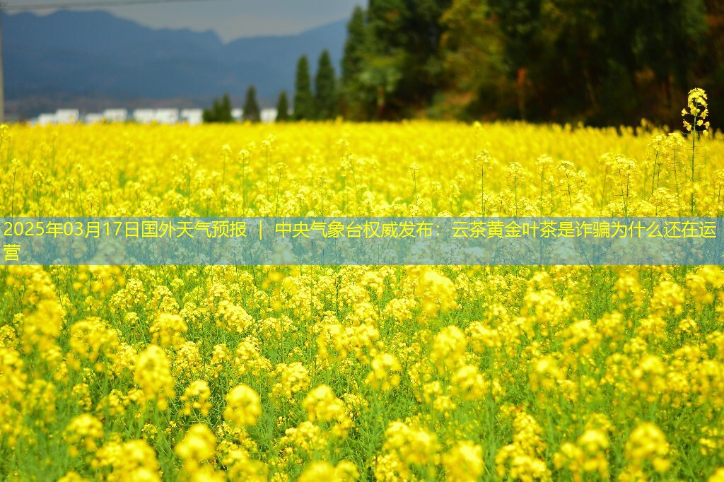 2025年03月17日国外天气预报 ｜ 中央气象台权威发布