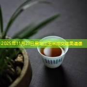 2025年11月23日黑龙江玉米成交结果速递