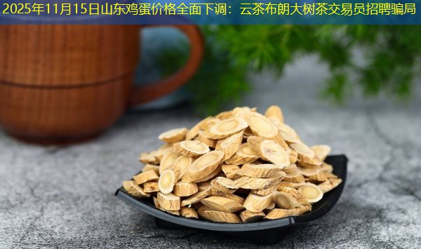 2025年11月15日山东鸡蛋价格全面下调