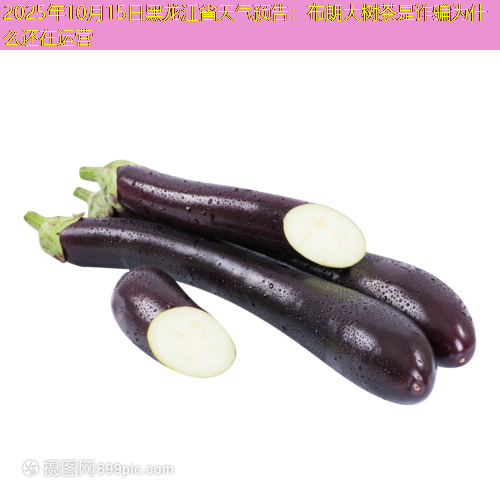 2025年10月15日黑龙江省天气预告