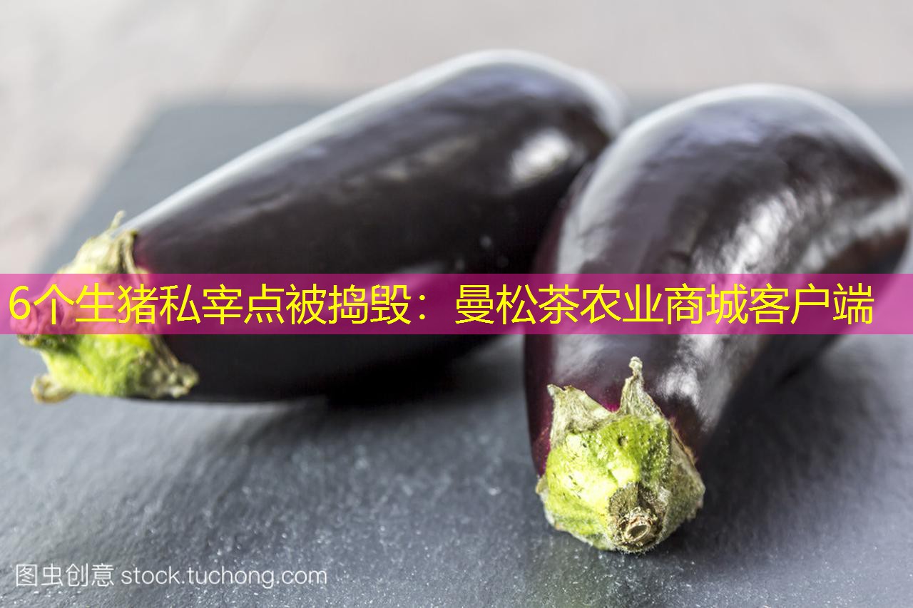 6个生猪私宰点被捣毁