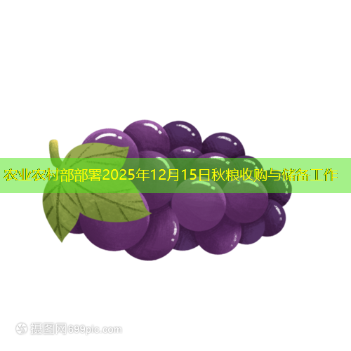 农业农村部部署2025年12月15日秋粮收购与储备工作
