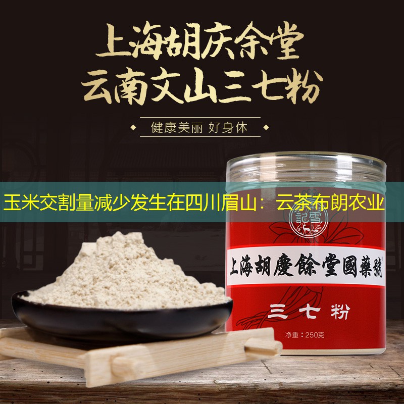 玉米交割量减少发生在四川眉山