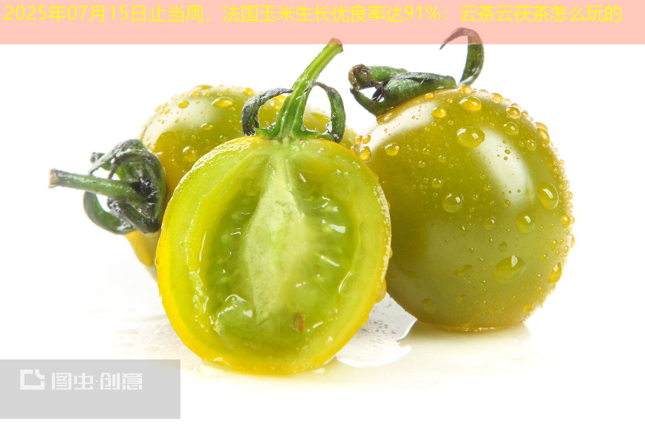 2025年07月15日止当周，法国玉米生长优良率达91%