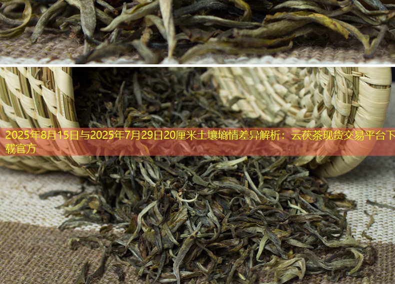 2025年8月15日与2025年7月29日20厘米土壤墒情差异解析