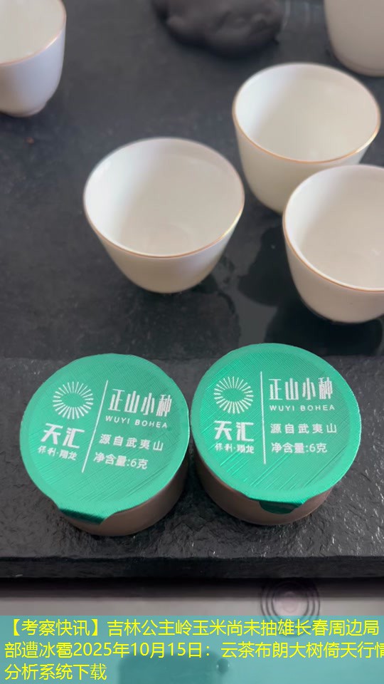 【考察快讯】吉林公主岭玉米尚未抽雄长春周边局部遭冰雹2025年10月15日