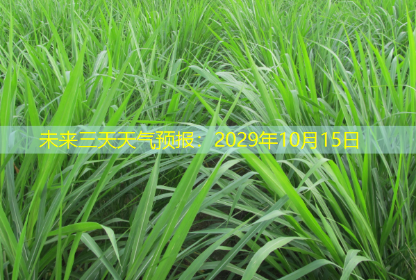 未来三天天气预报：2029年10月15日
