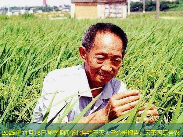 2025年11月18日考察期间华北持续三天大雪分析报告