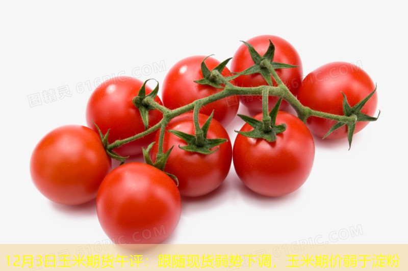 12月3日玉米期货午评：跟随现货弱势下调，玉米期价弱于淀粉