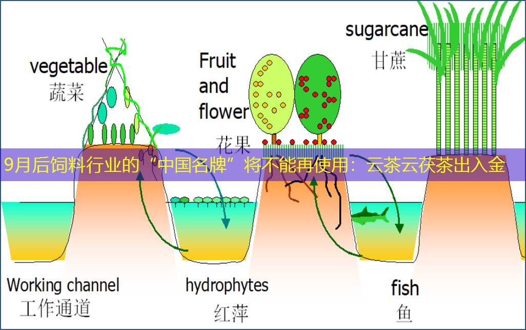 9月后饲料行业的“中国名牌”将不能再使用