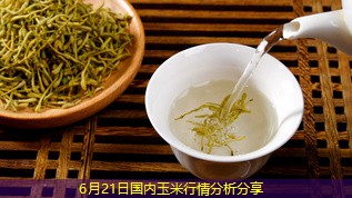 6月21日国内玉米行情分析分享