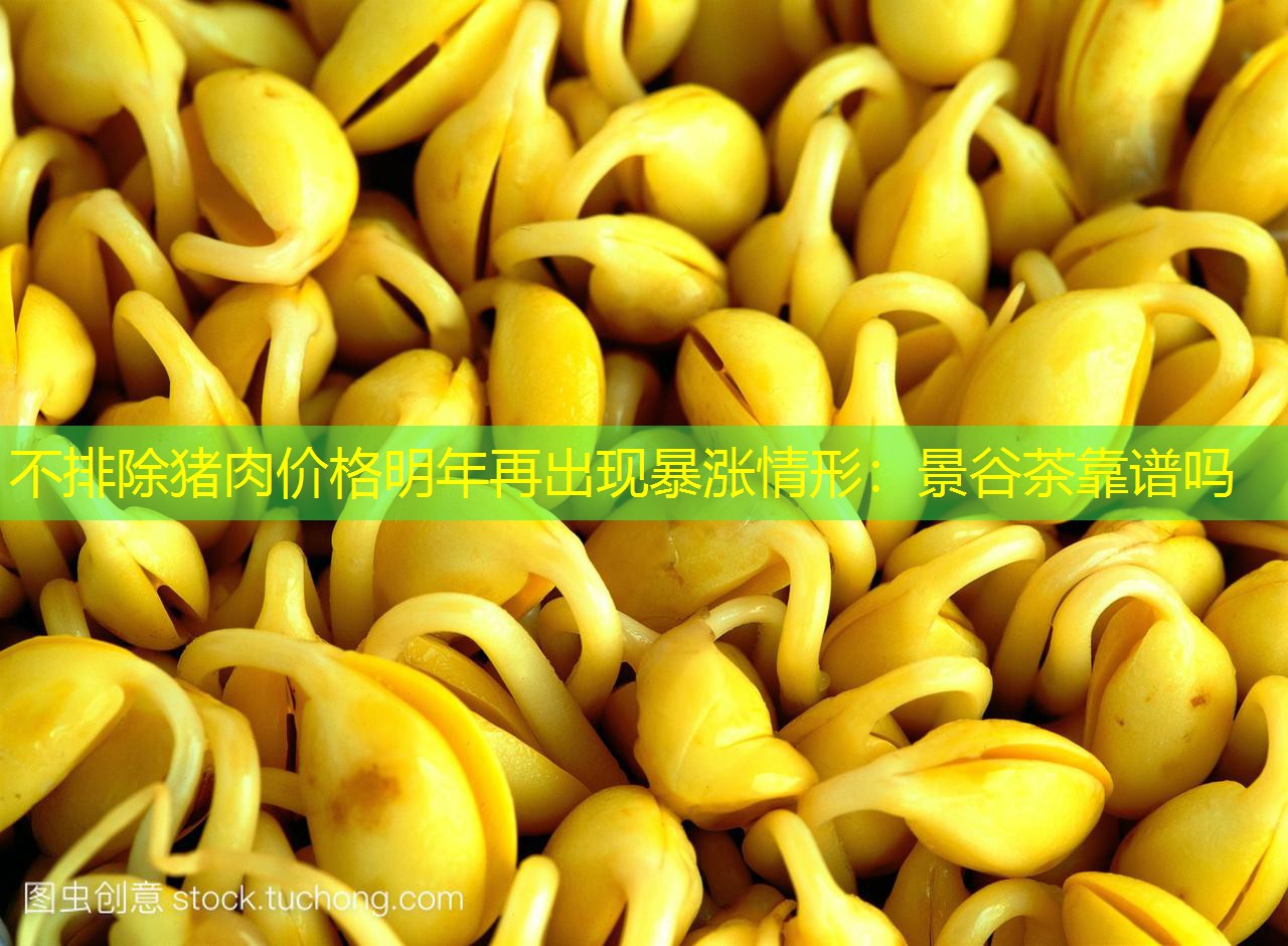 不排除猪肉价格明年再出现暴涨情形